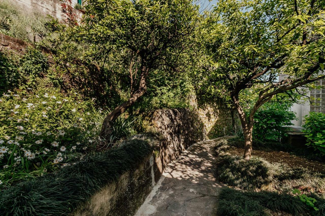 Boka Apartment 4 Herceg Novi Esterno foto