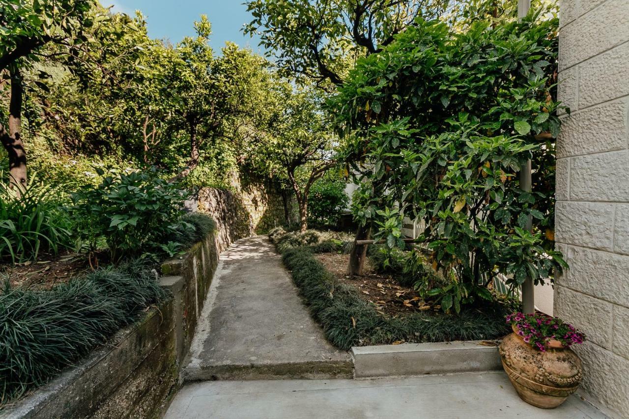 Boka Apartment 4 Herceg Novi Esterno foto